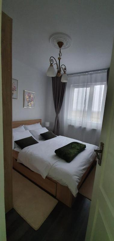 Apartament Thea Apartment Fagaras Ngoại thất bức ảnh