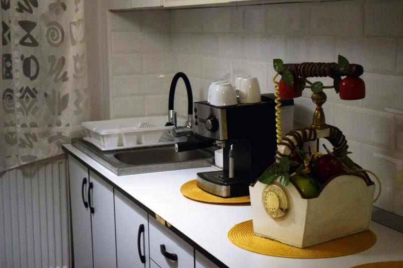 Apartament Thea Apartment Fagaras Ngoại thất bức ảnh