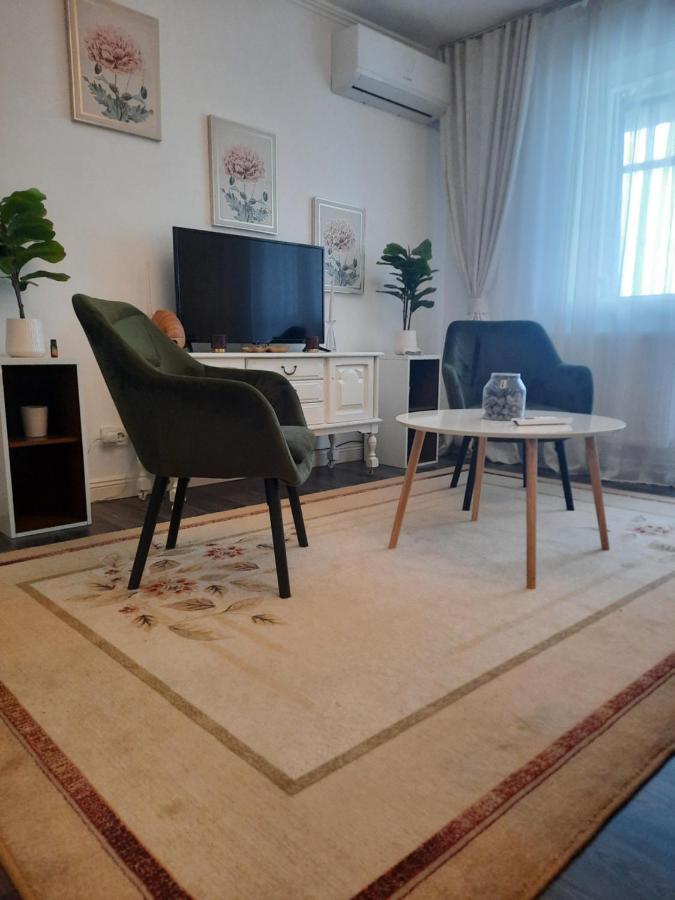 Apartament Thea Apartment Fagaras Ngoại thất bức ảnh